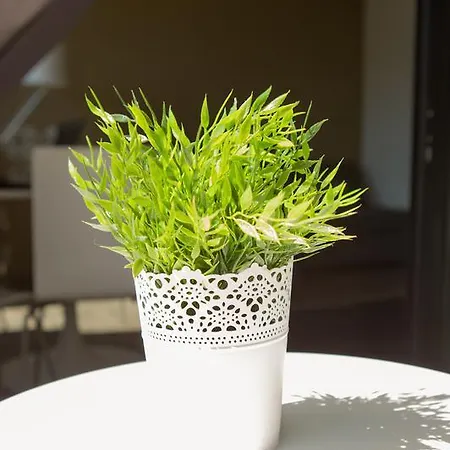 Apartamento Urban Flat *