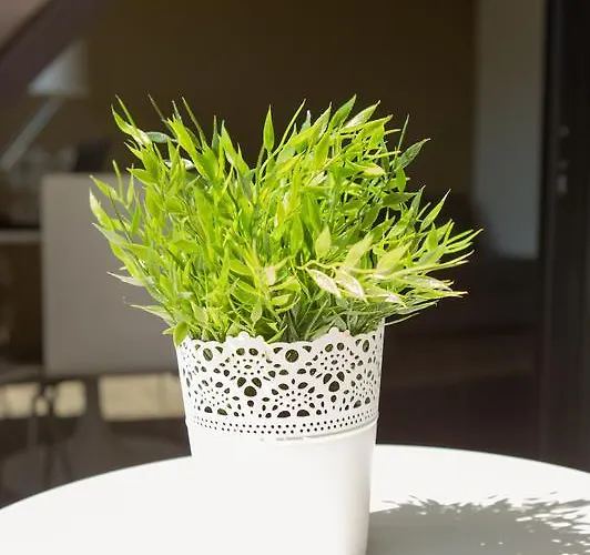 アパート Urban Flat *